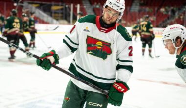 Minnesota Wild Recall David Spacek