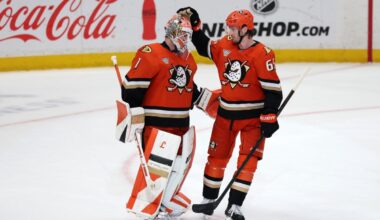 Anaheim Ducks Young Stars Producing Results