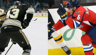 St. Louis Blues and Washington Capitals Swap AHL Defenseman