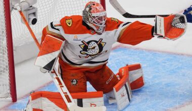Ducks goalie Lukas Dostal out two to three weeks due to injury