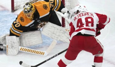 NHL Game Preview: Detroit Red Wings at Boston Bruins with Line Combinations 11/29/2025