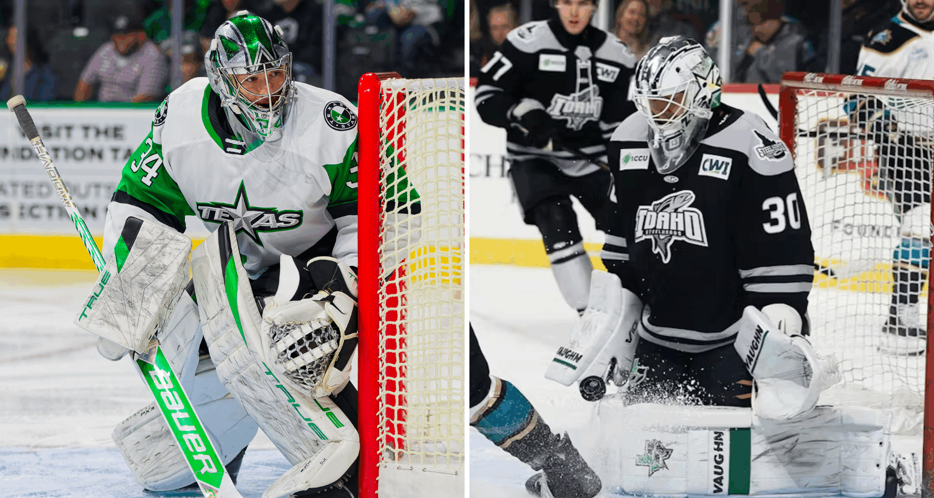 Stars Recall Arno Tiefensee to Texas and Loan Ben Kraws to Idaho | Texas Stars