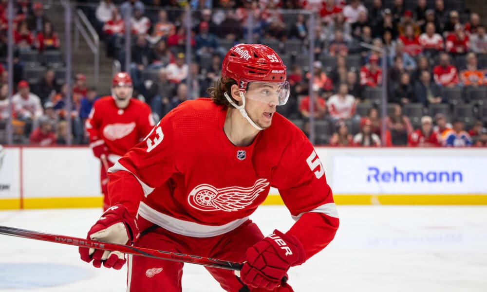 Moritz Seider, Red Wings