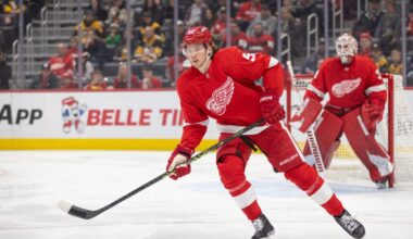 Moritz Seider, Red Wings