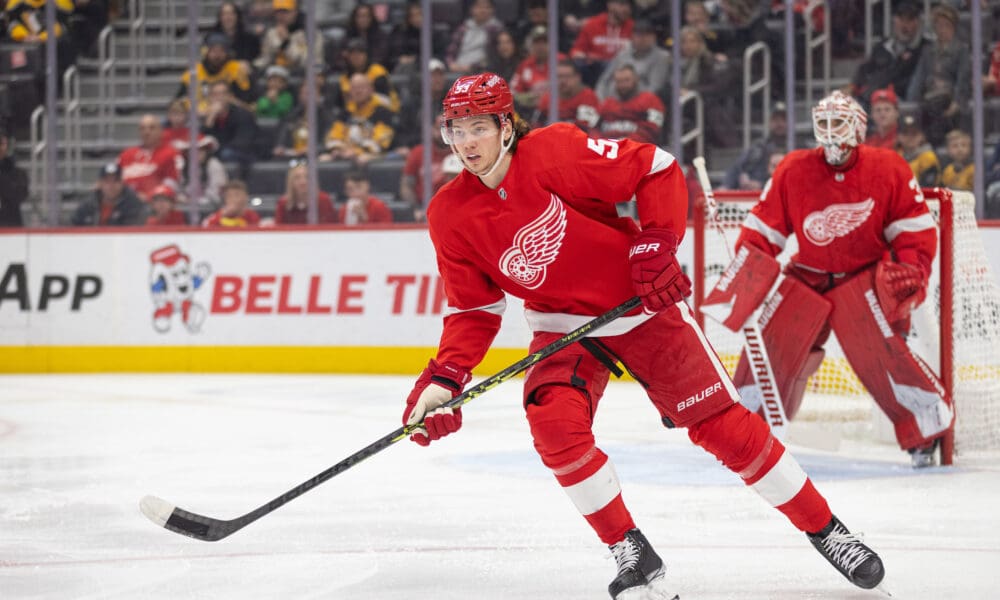 Moritz Seider, Red Wings