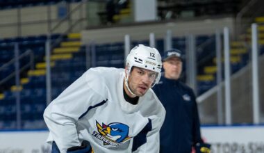 Milan Lucic makes debut with Springfield Thunderbirds