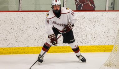 24 breakout defensemen candidates in 2025-26 boys prep hockey