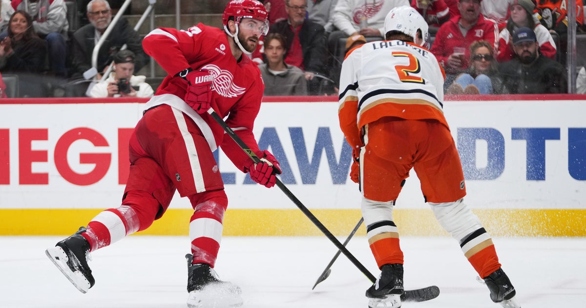 Alex DeBrincat scores twice, Red Wings beat Ducks 6-3 to end 3-game slide