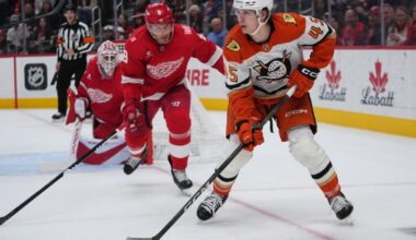 Detroit Red Wings beat Ahaheim Ducks 6-3 to end 3-game slide