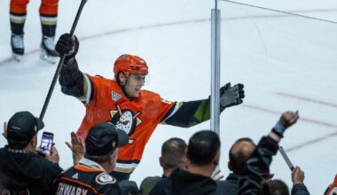 Ian Moore scores late tiebreaking goal, Lukas Dostal shines in Ducks' 4-3 victory over the Bruins