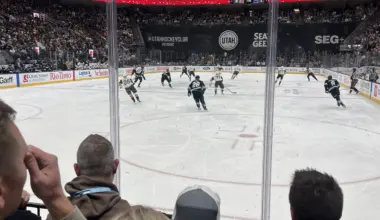 Utah Hockey fans weigh in on the finer details of the club's Mammoth d...