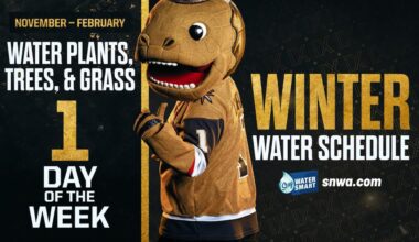 Stay Water Smart This Hockey Season With SNWA 💧