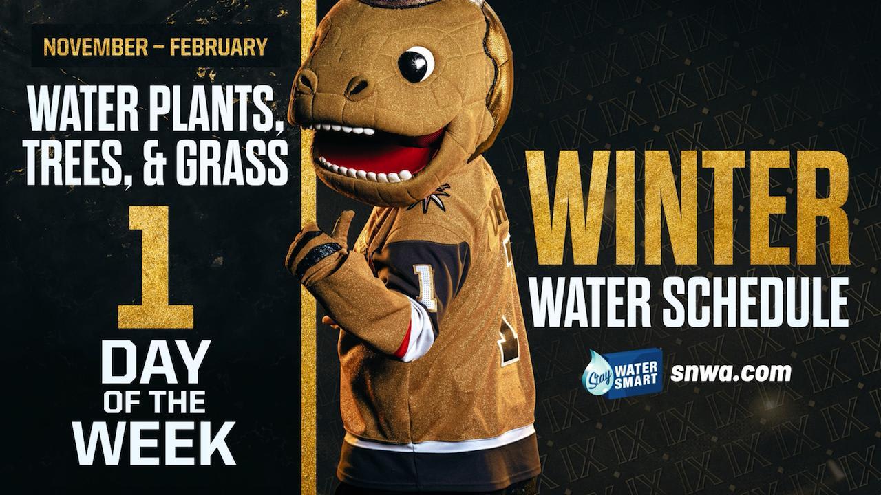 Stay Water Smart This Hockey Season With SNWA 💧