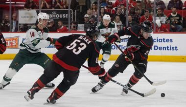 Canes fail to tame Wild in 4-3 overtime loss – Technician