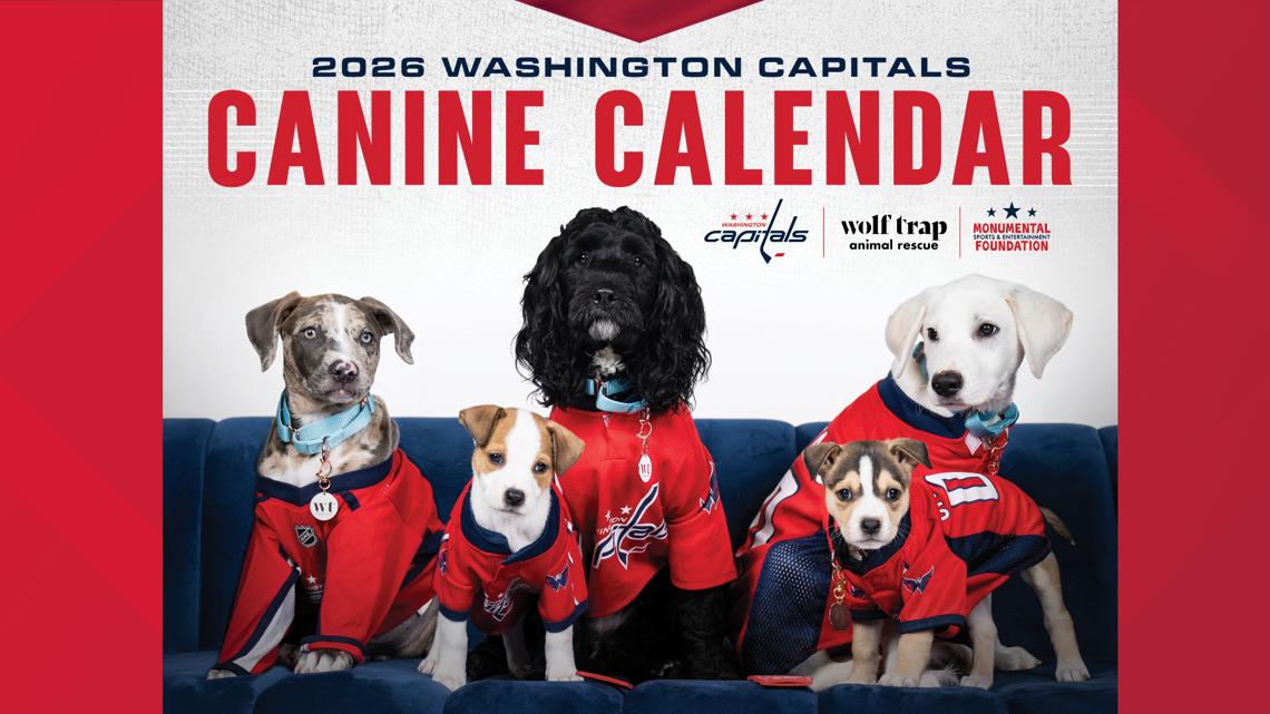 Pups and Caps: Capitals canine calendar is available for purchase