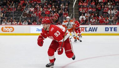 Wild vs. Ducks Prediction, Odds, Picks - Nov. 15