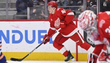 Axel Sandin Pellikka, Red Wings