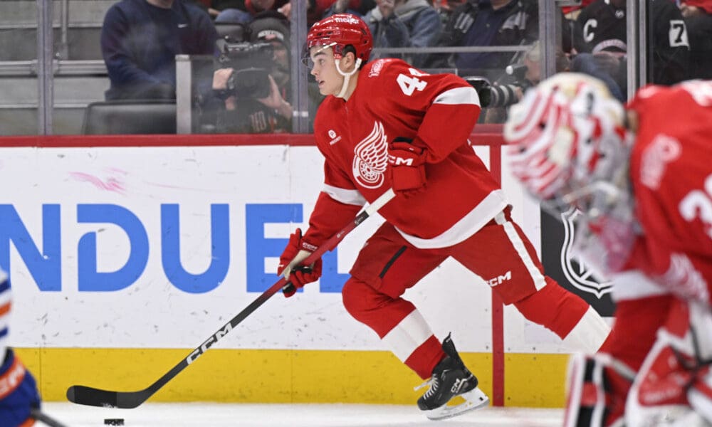 Axel Sandin Pellikka, Red Wings