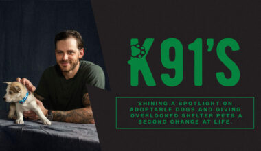 Dallas Stars' Tyler Seguin and wife Kate launch "K91'S" to support dog adoptions through Operation Kindness