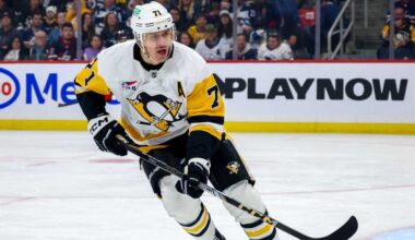 Pittsburgh Penguins forward Evgeni Malkin fined $5K for slashing Winnipeg Jets player during game