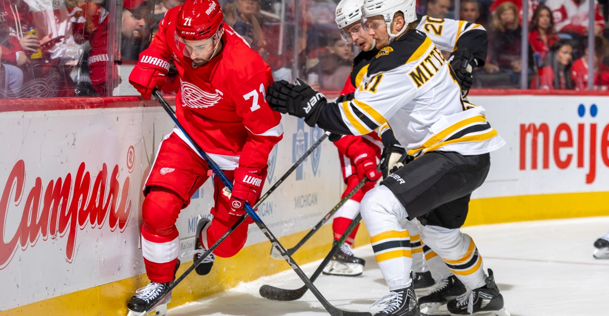 Public Skate: Bruins vs. Red Wings