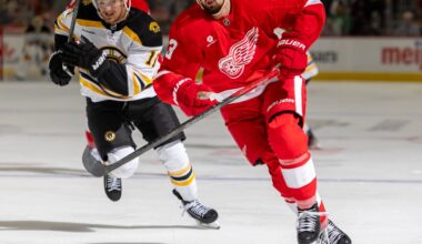 Preview: Bruins welcome Red Wings to TD Garden - Stanley Cup of Chowder