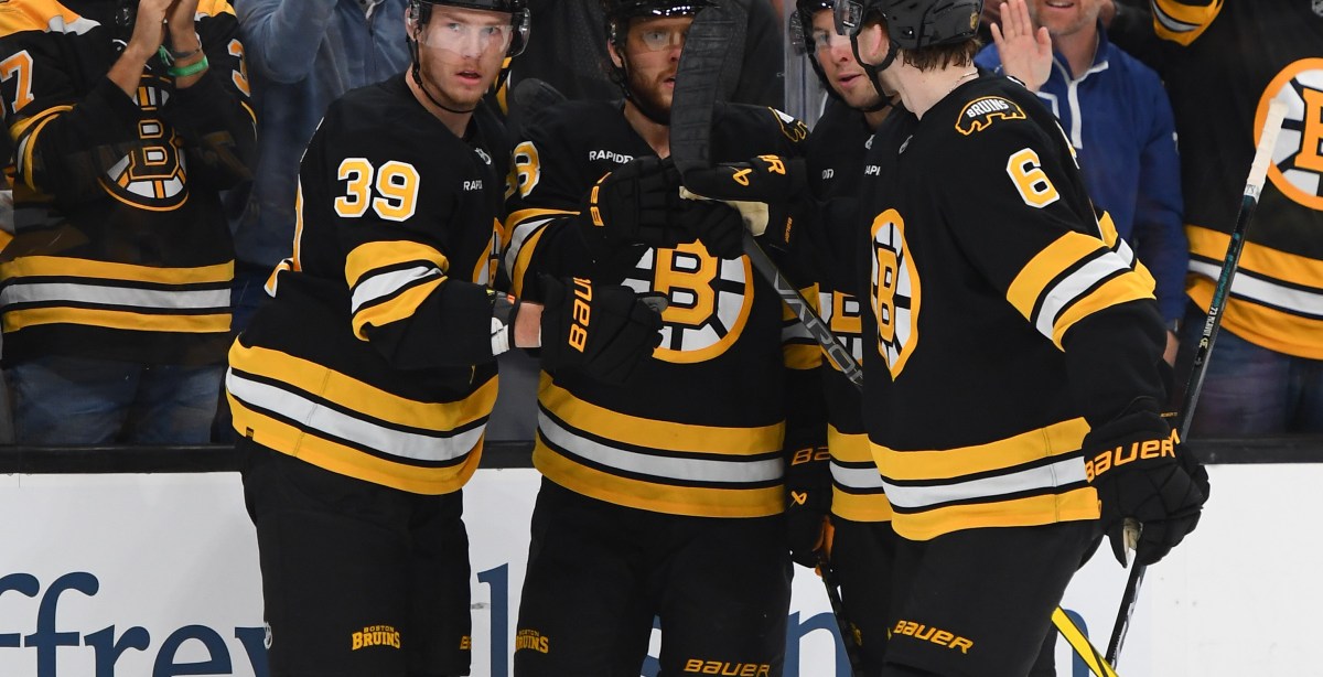 Public Skate: Bruins vs. Ducks
