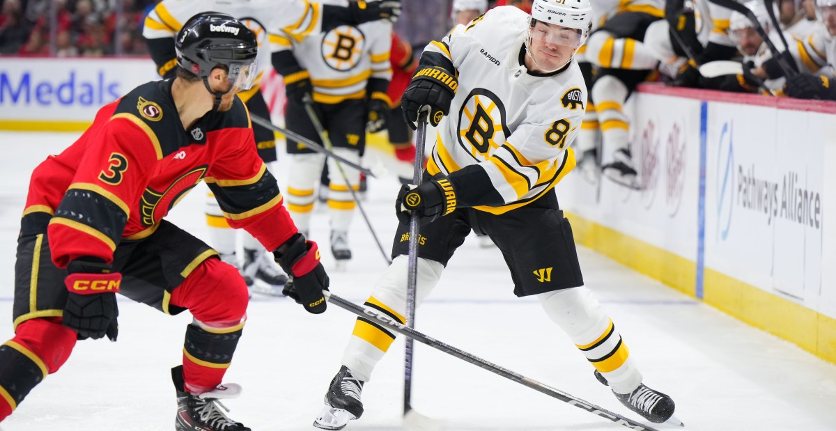 Public Skate: Bruins vs. Senators