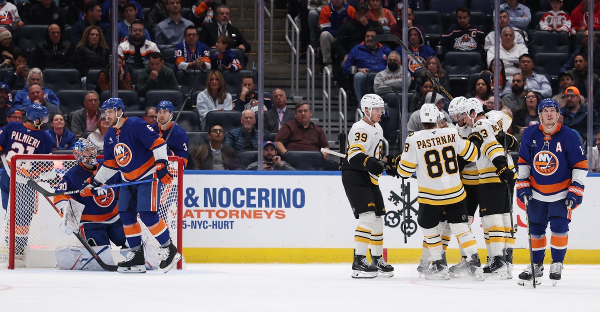 Public Skate: Bruins vs. Islanders