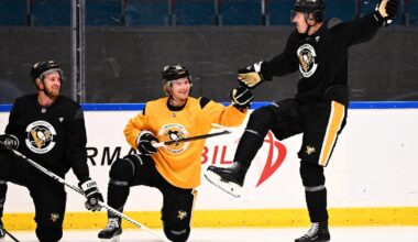 Pens in Sweden: Ice size, spas and more