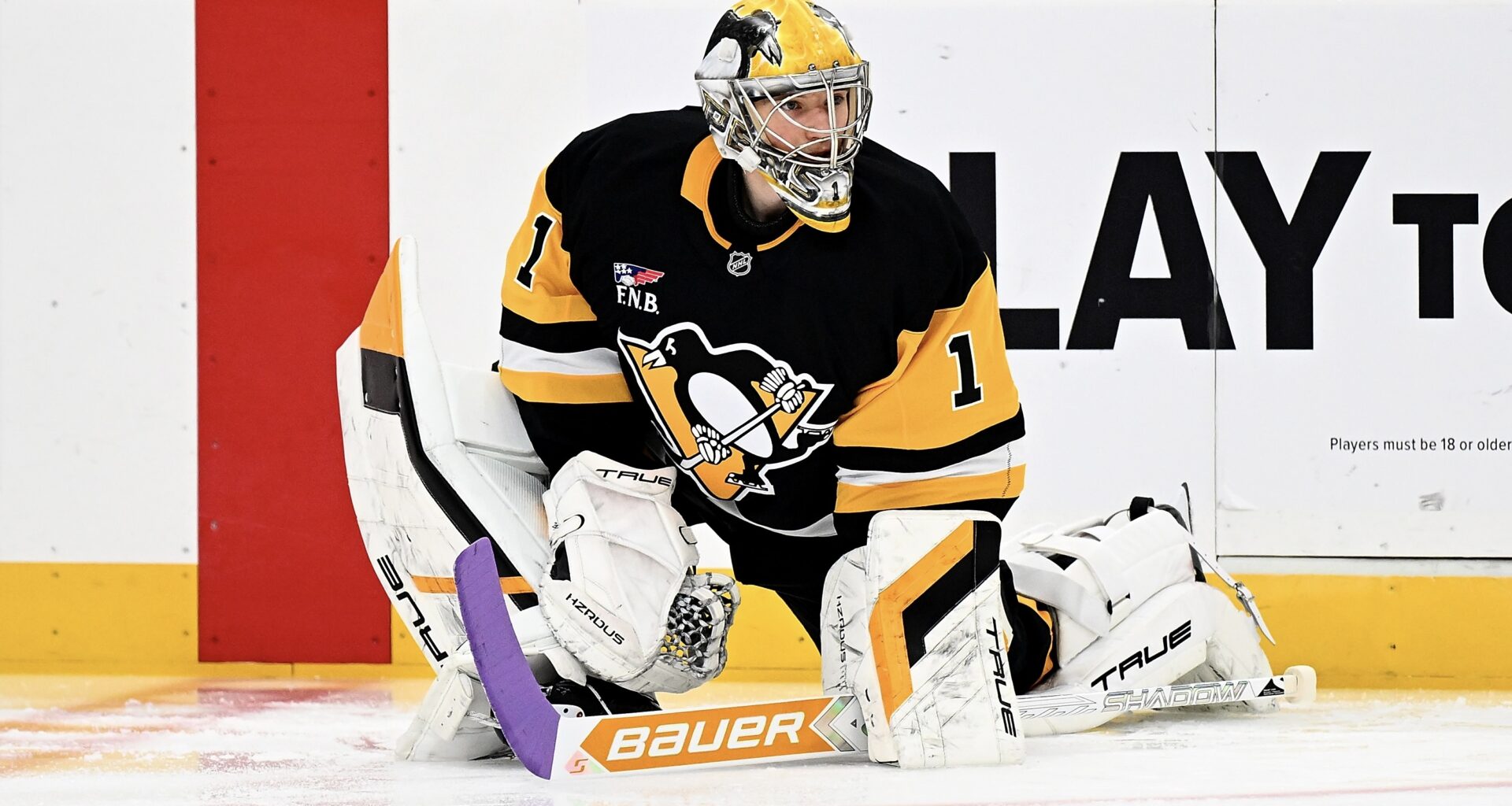 Final: Wild 5, Penguins 0