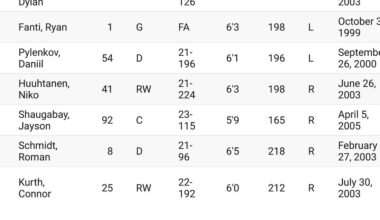 Tampa Bay Lightning Top 10 Prospects