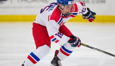 Get to Know Matej Blumel & Leafs Could Trade Former Bruins Defenseman