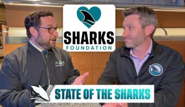 State of the Sharks: Sharks Foundation Holiday Assist