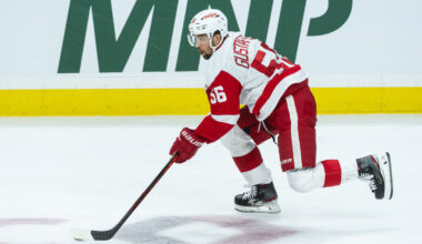 Detroit Red Wings Recall Defenseman