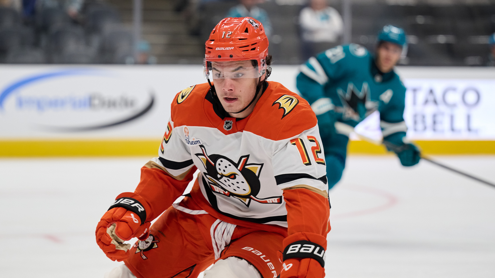 Ducks reassign winger Sam Colangelo to AHL San Diego