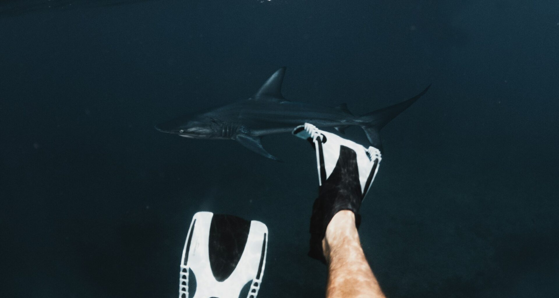 Ottawa Senators vs San Jose Sharks