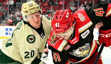 GAME PREVIEW: IOWA WILD AT GRAND RAPIDS GRIFFINS