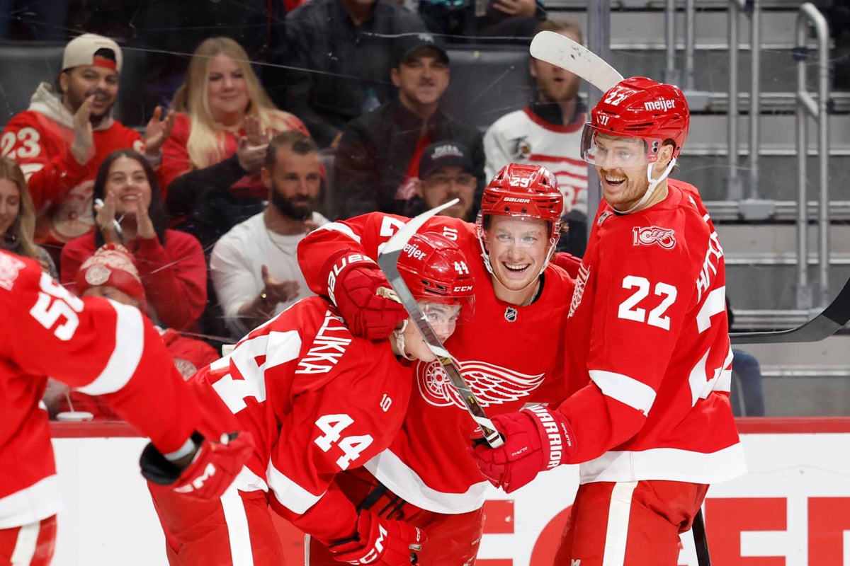 Red Wings in first place after 20 games: What’s worked, what questions remain