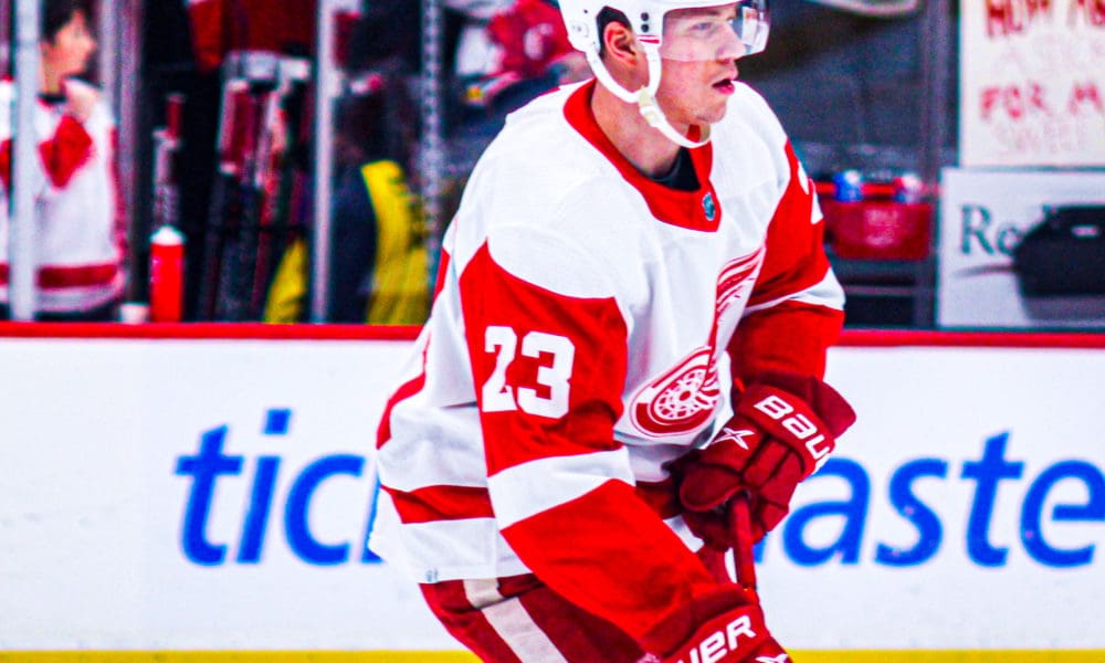 Lucas Raymond, Red Wings