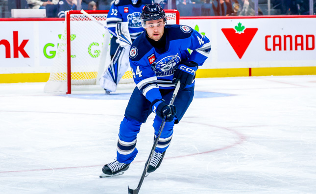 Salomonsson Recalled by Jets - Manitoba Moose