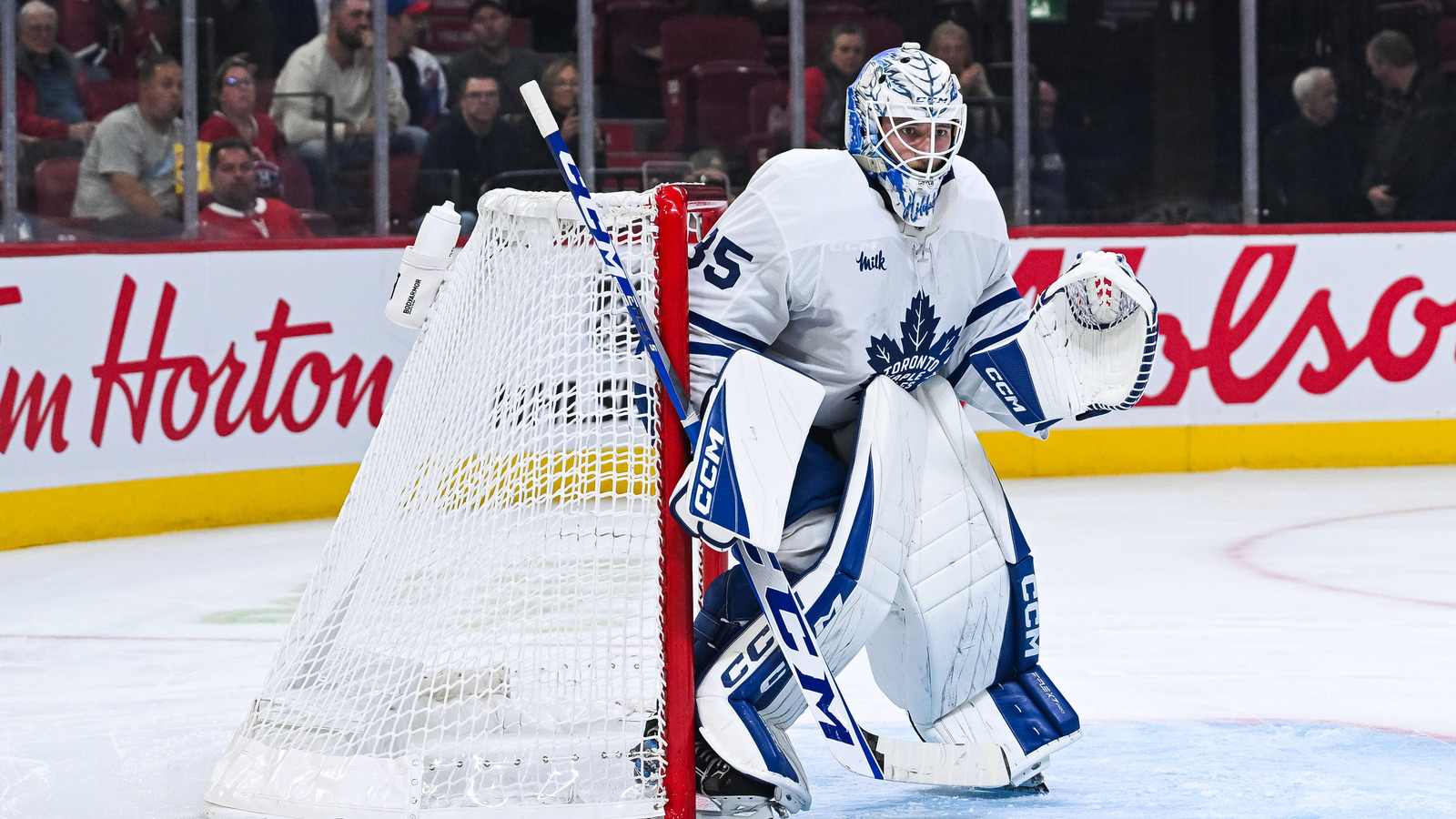 Maple Leafs Recall Dennis Hildeby After Losing Goalie to the Hurricanes