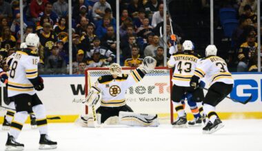 Bruins