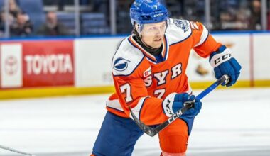 Tampa Bay Lightning recall Simon Lundmark