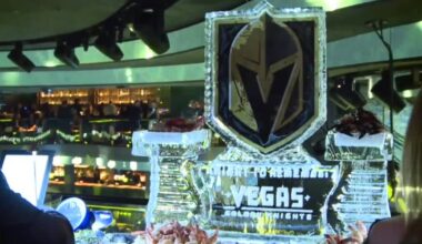Vegas Golden Knights shine at 'A Golden Knight' gala to support local causes