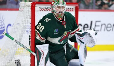 Jesper Wallstedt makes 28 saves for 2nd straight shutout, Wild beat Ducks 2-0