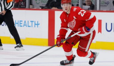 Lucas Raymond scores tiebreaking goal in 3rd period as Red Wings beat Rangers 2-1
