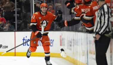 Cutter Gauthier has a hat trick in Ducks' win over Panthers