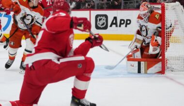 Alex DeBrincat and Red Wings hand Ducks second straight loss