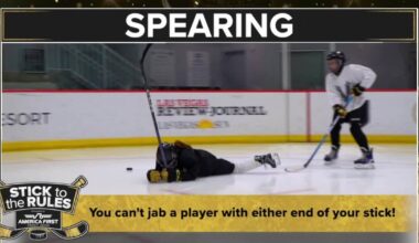 Stick to the Rules: What Is Spearing?